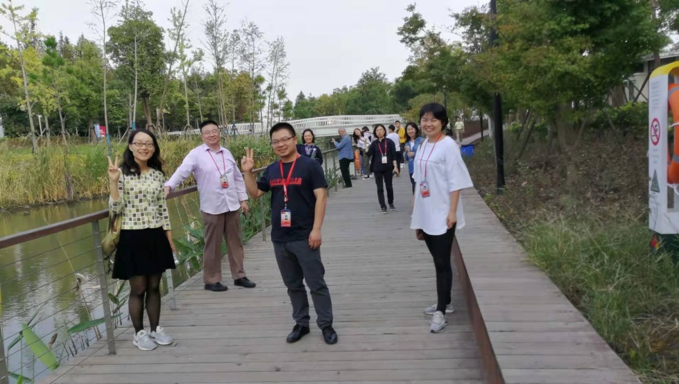 玩球直播官方线路