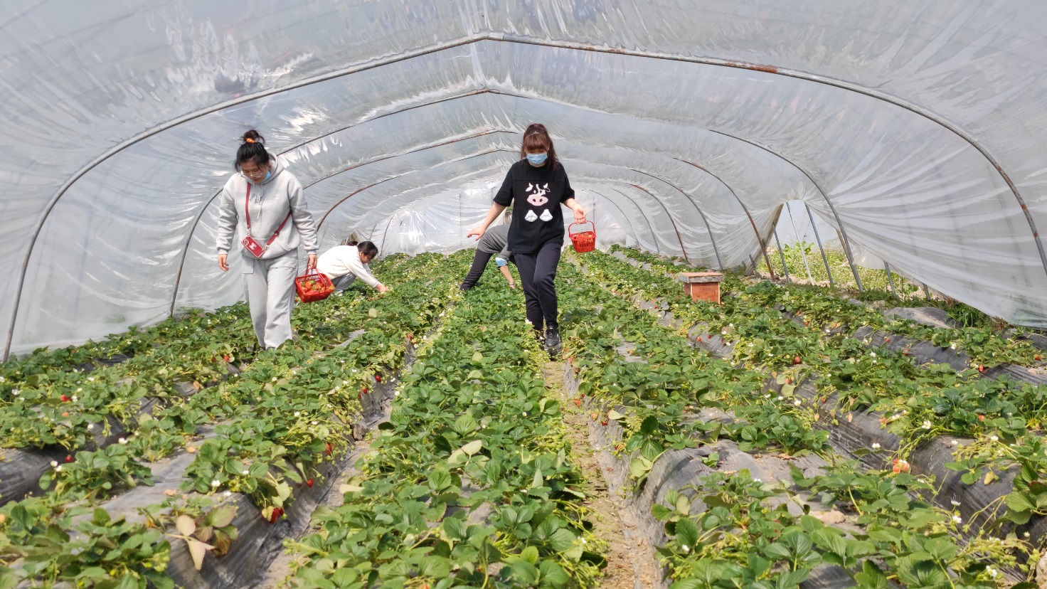玩球直播指定入口