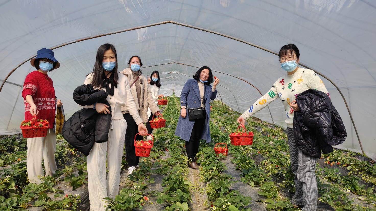 玩球直播官方指定端