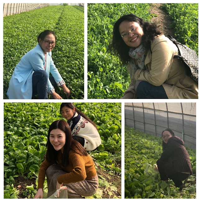 玩球直播备用网址