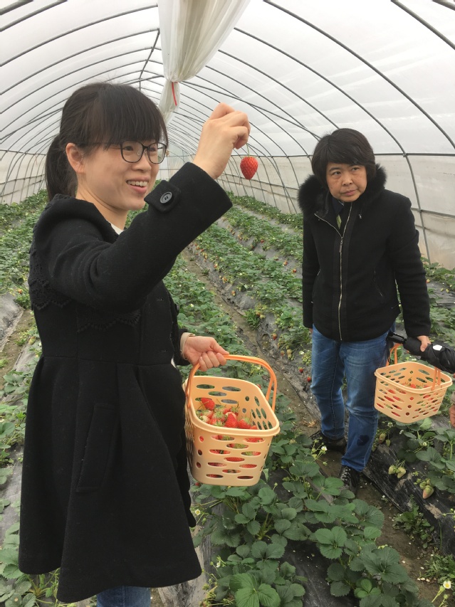 玩球直播官方线路
