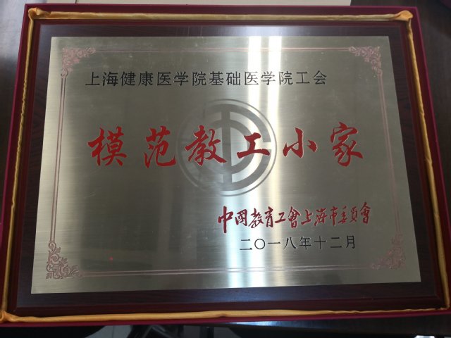 玩球直播体育频道