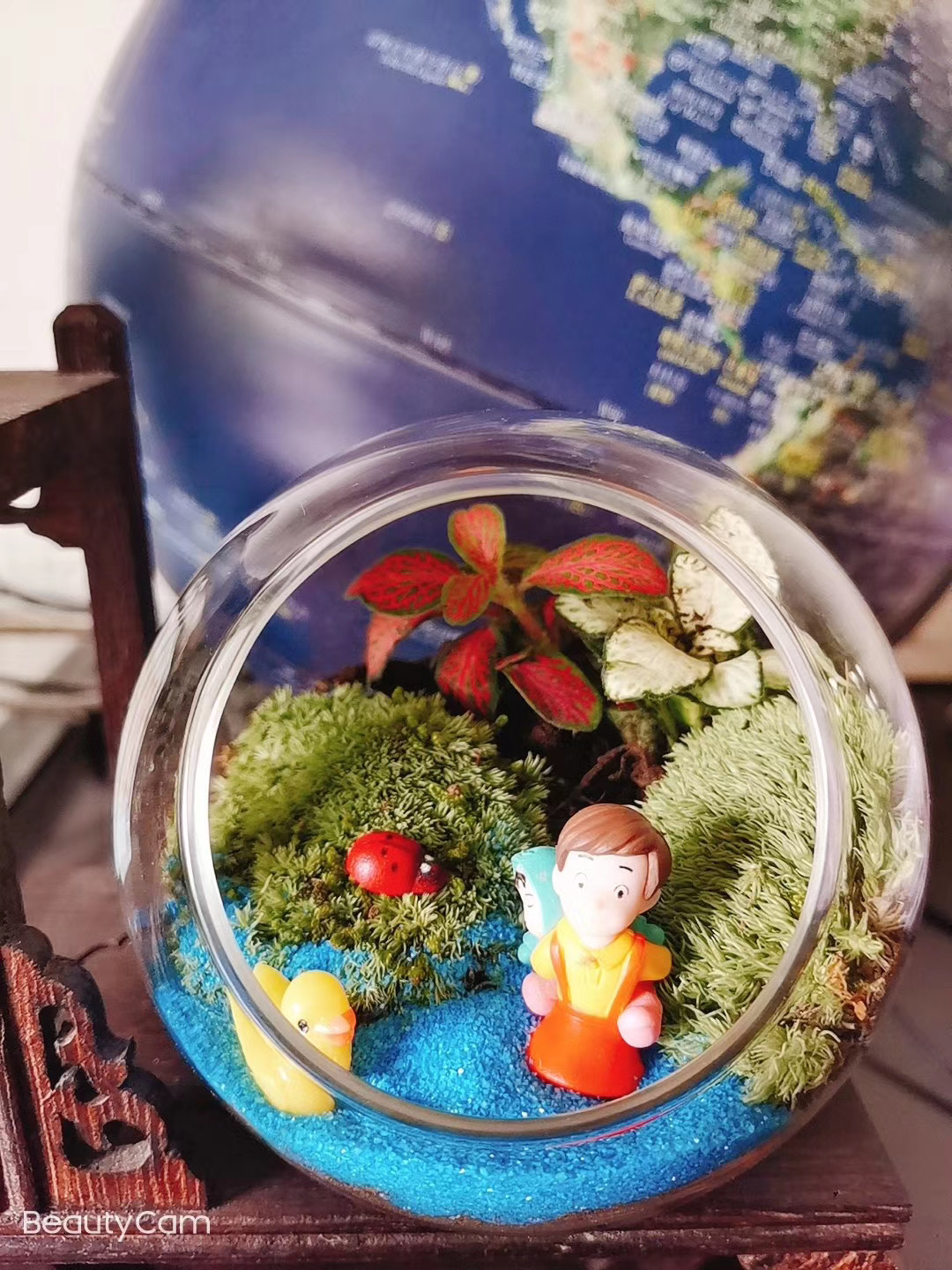 玩球直播指定通道