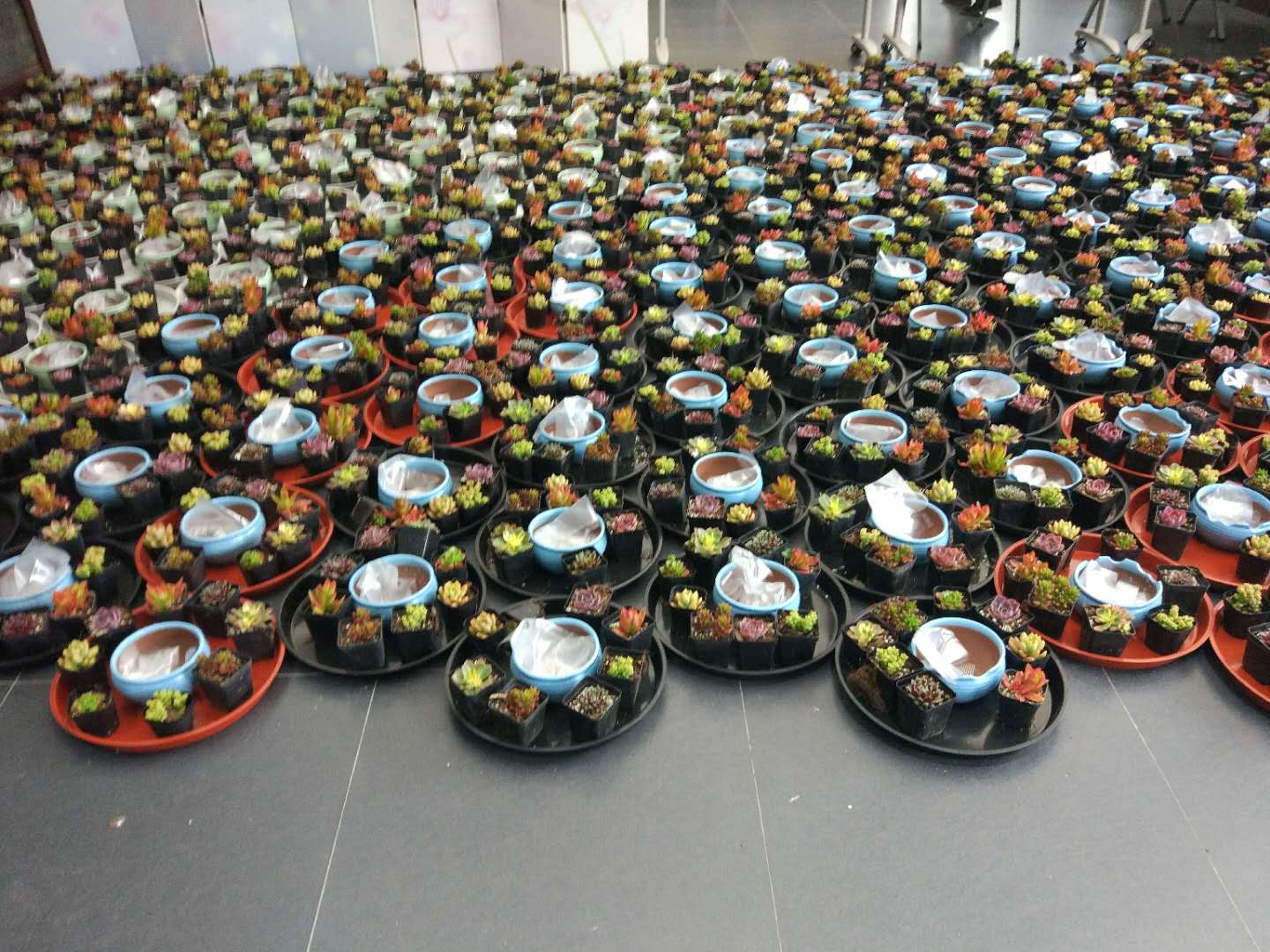 玩球直播备用网址
