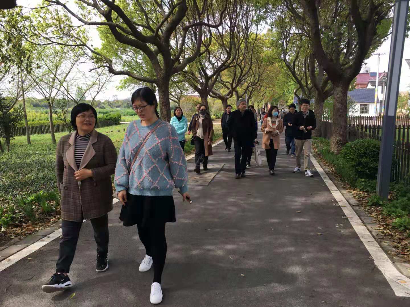 玩球直播指定入口