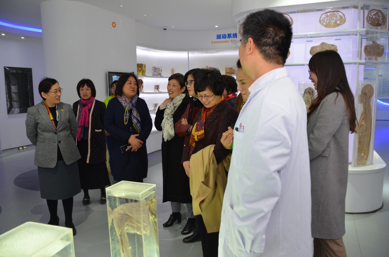 玩球直播官方线路