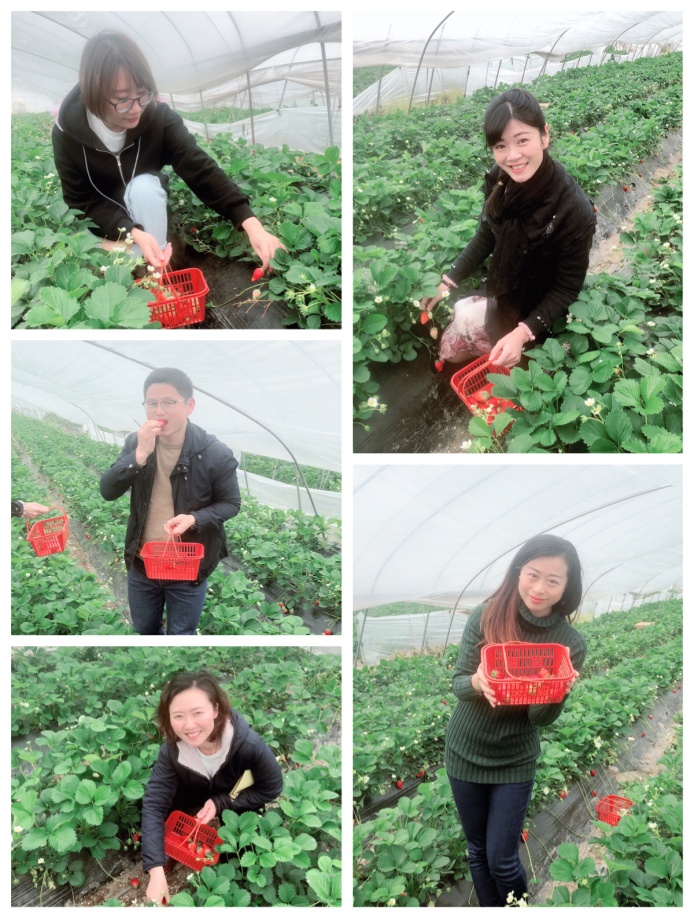 玩球直播加速节点