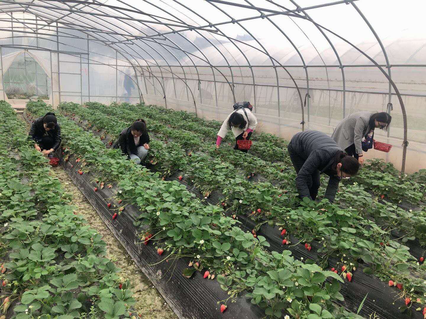 玩球直播指定通道