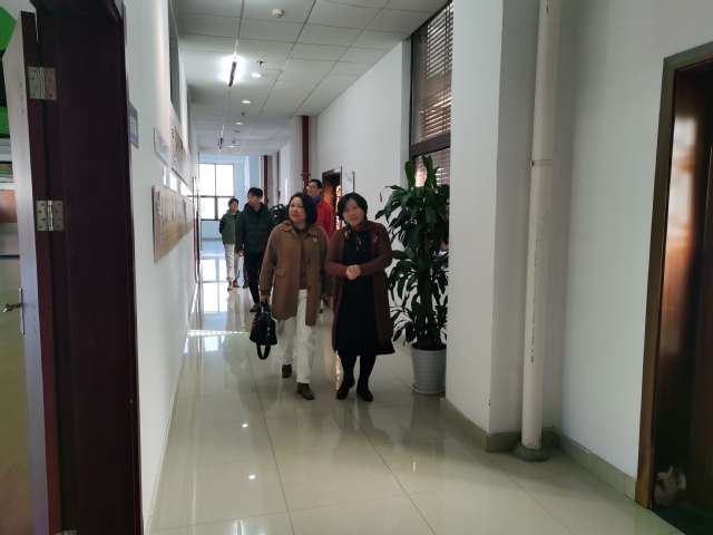 玩球直播体育频道