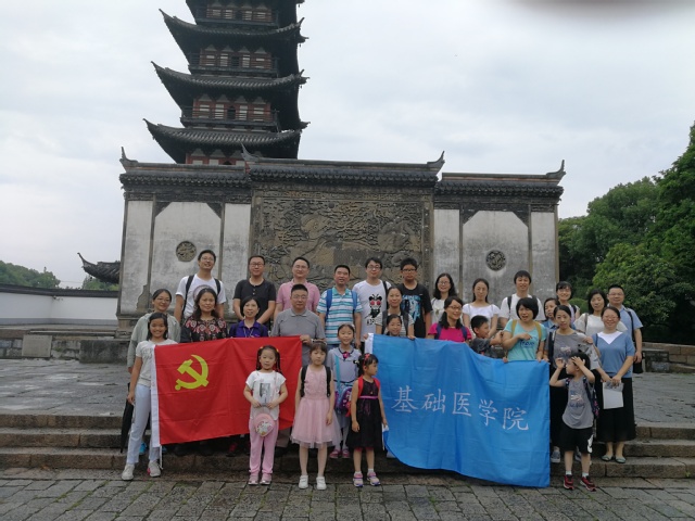玩球直播指定通道
