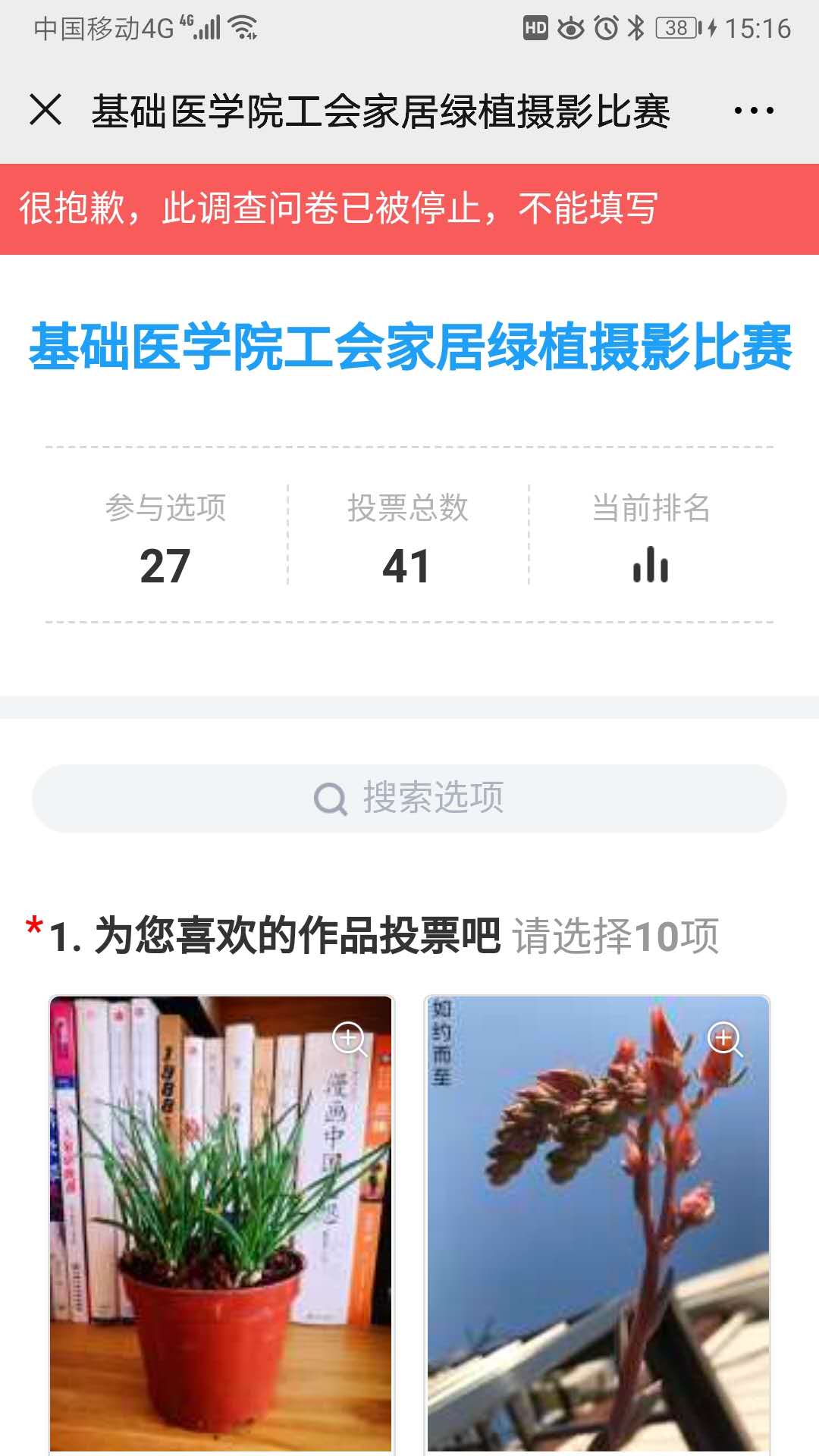 玩球直播备用网址